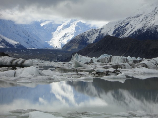 Icebergs crowd the Tasman Glacier Terminal.